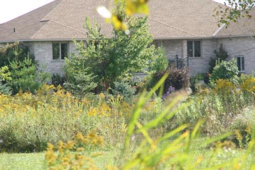 Just For You B&B