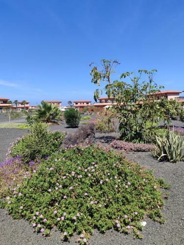 Apartamento Villa Punta Calma