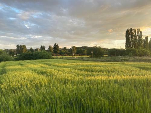 El Rinc�n De Willy