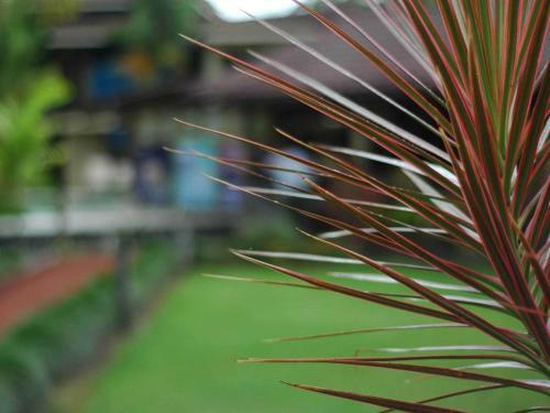Hostal Arenal Backpackers Resort