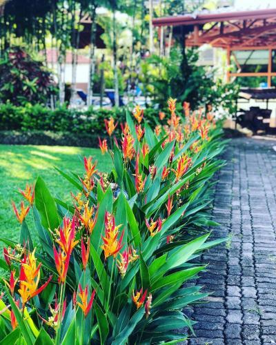 Hostal Arenal Backpackers Resort