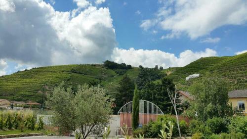 Hotel H�tel Le Domaine Des Vignes