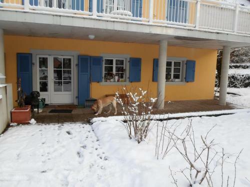 Bed & Breakfast Les Volets Bleus Alsace Vosges