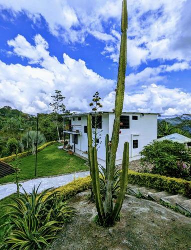 Los Laureles Villeta