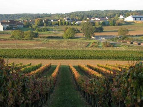 Holiday Home G�te Des Hautes C�tes De Beaune