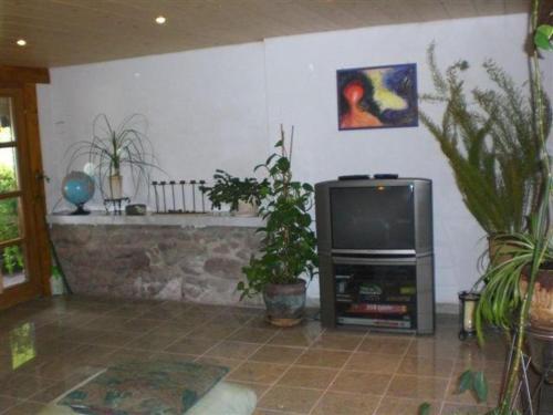 Apartamentos Talblickhof