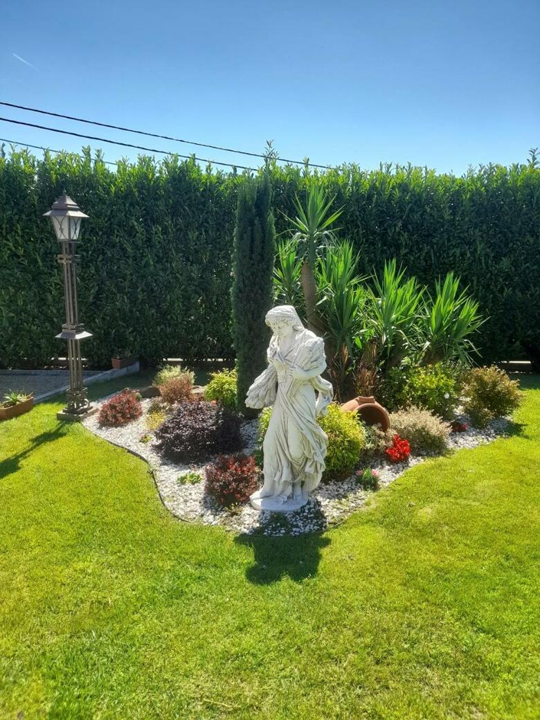 Bed & Breakfast Eleg�ncia & Carros Hotel