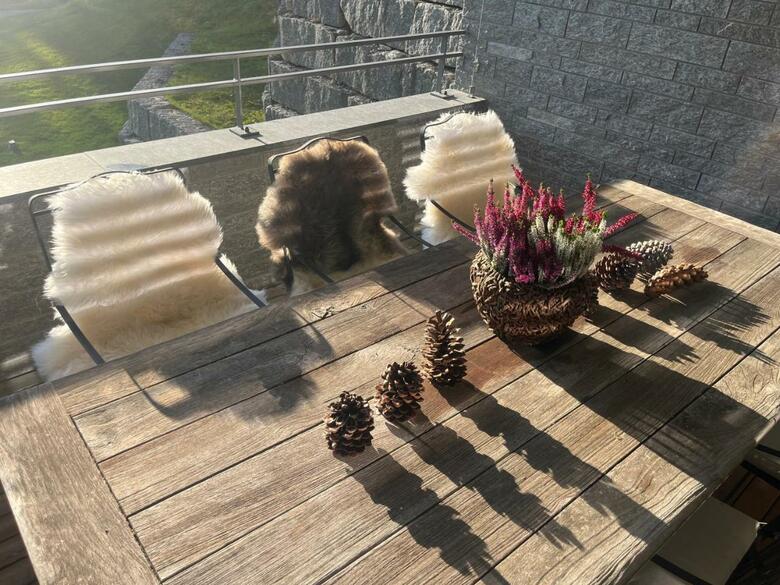 Alpine Luxury Apartment Davos With Spa Access To 5 Star Hotel