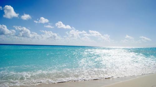 Margaritaville Beach Hotel