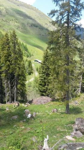 Apartamento Haus Knapp