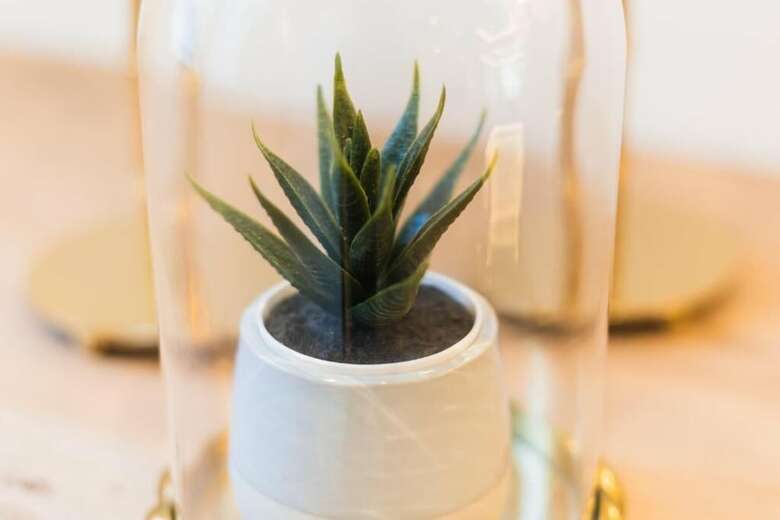 Hotel Debamb� Suites