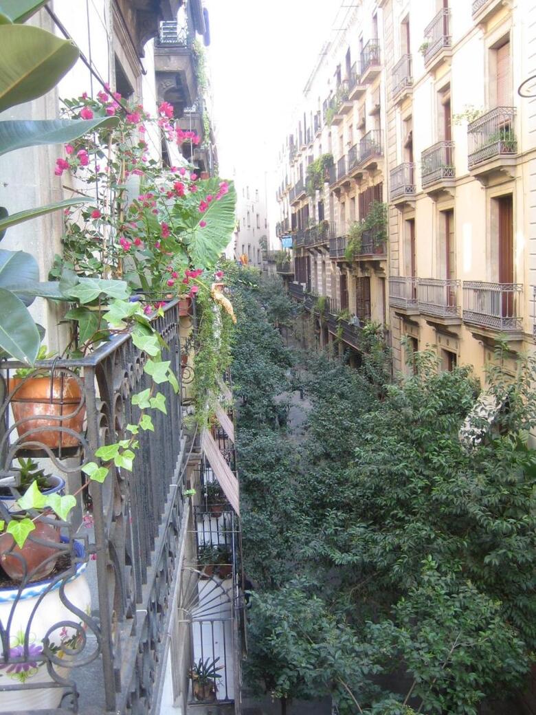 Hostal Pension Alamar