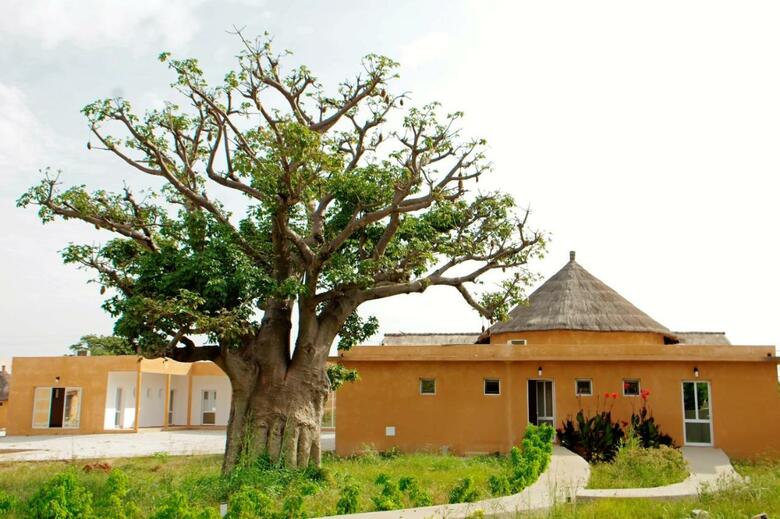 Hotel King Baobab Lodge