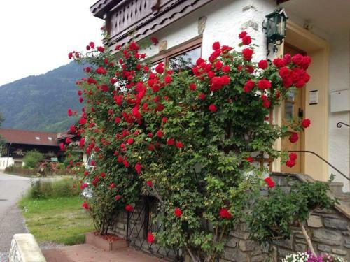 Hostal M�hlbachst�berl