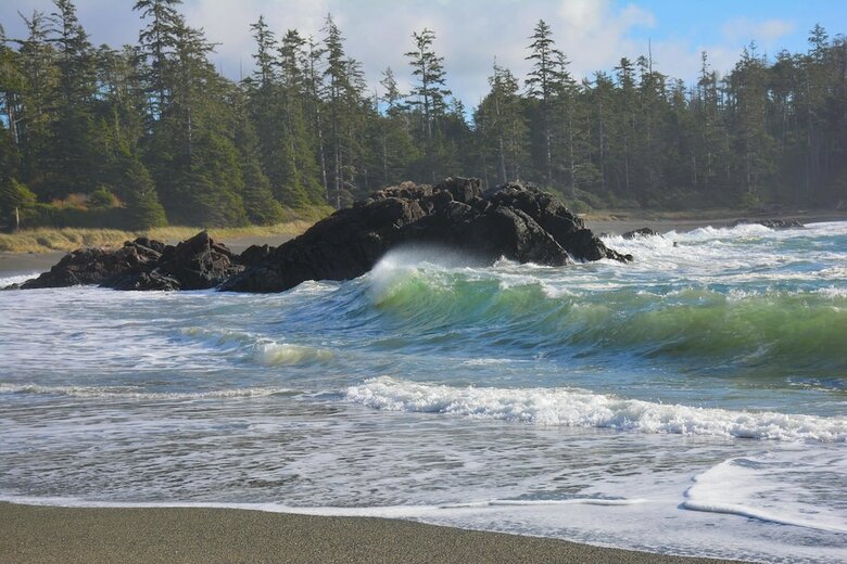 Hotel Wya Point Resort
