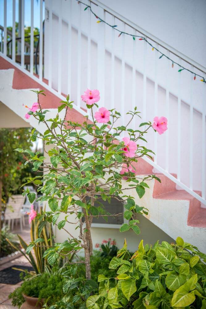 Hotel Shore Haven Resort Inn