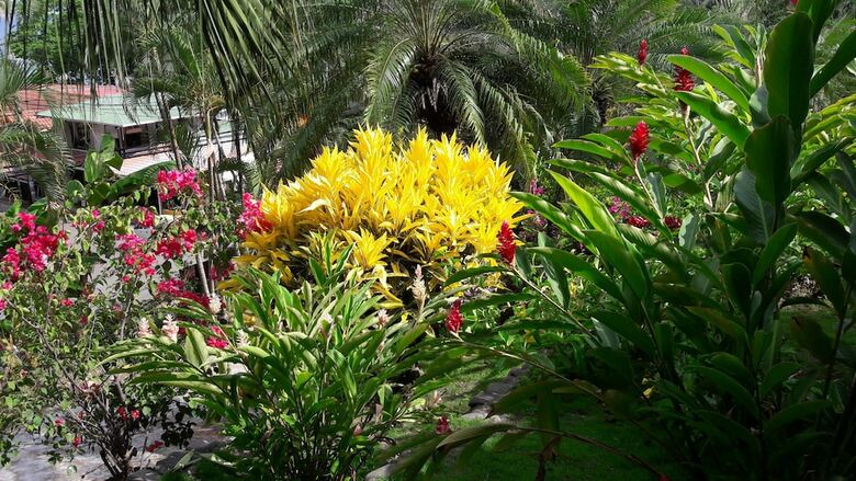 Hotel El Jard�n