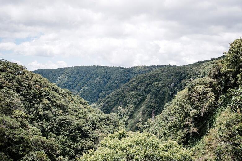 Valle Escondido Nature Reserve Hotel & Farm