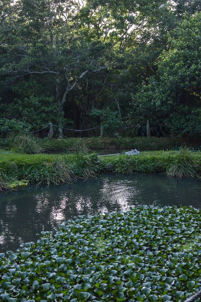 Valle Escondido Nature Reserve Hotel & Farm