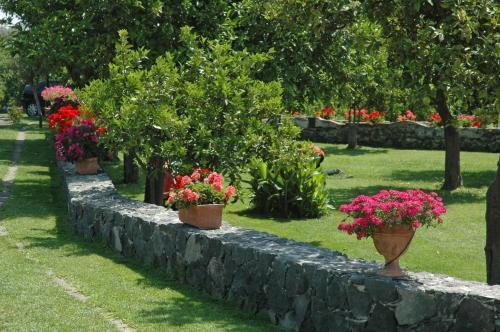 Bed & Breakfast Feudogrande
