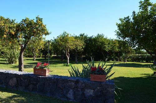 Bed & Breakfast Feudogrande