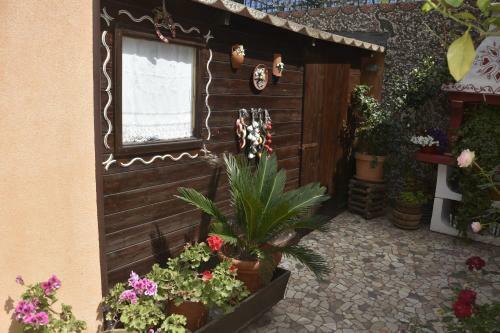 B&B Villa Liliya