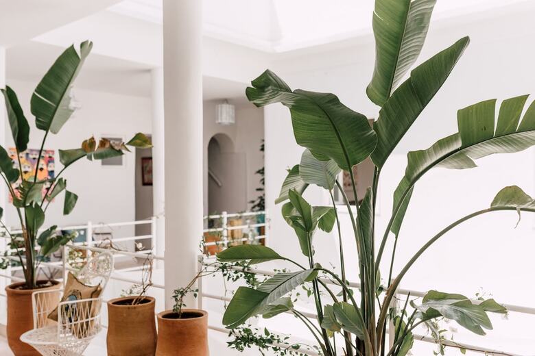 Hotel Zwin Zwin Boutique H�tel & Spa