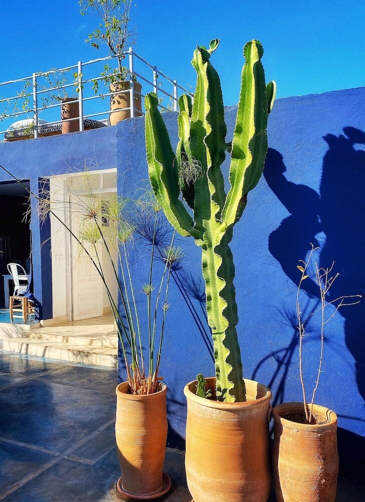Hotel Zwin Zwin Boutique H�tel & Spa