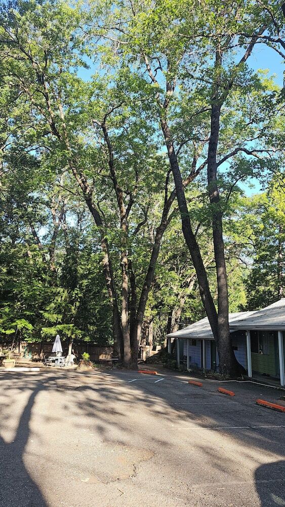 Cedar Lodge Motel
