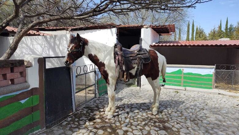 Hotel Rancho Los Labradores