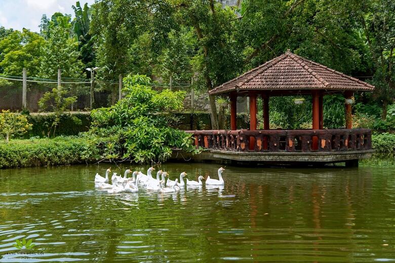 Hotel Dong Goi Eco Retreat