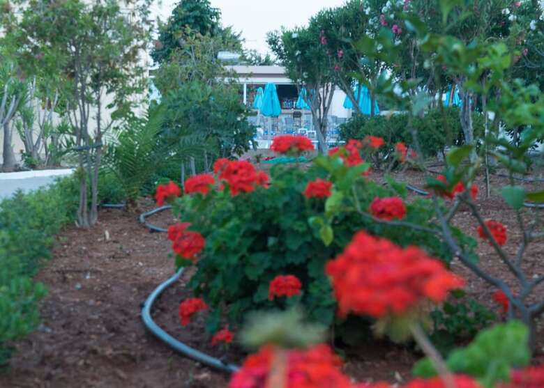 Amaryllis Front Beach Hotel