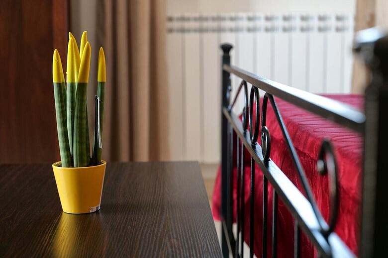 Bed & Breakfast Tenuta Ricco
