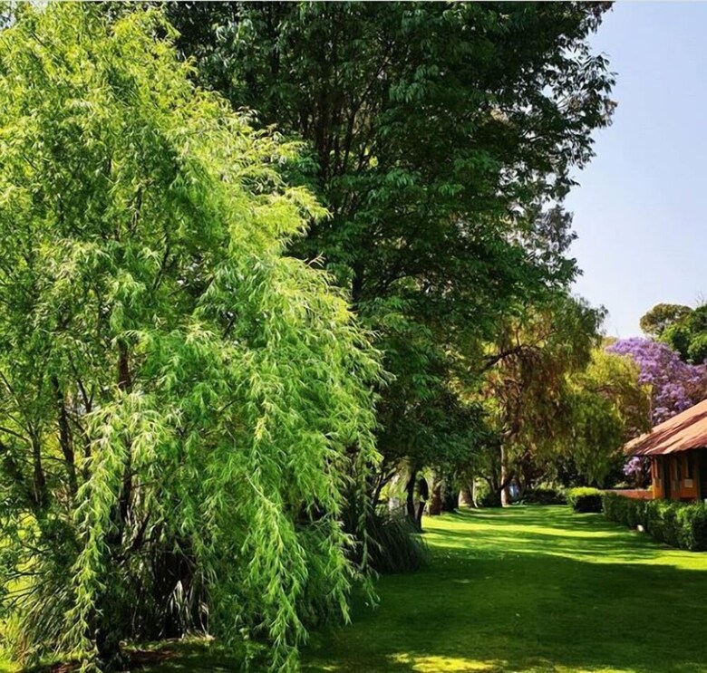 Hotel Rancho San Juan Teotihuacan