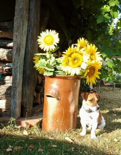 Bed & Breakfast La Closerie Du Bucher