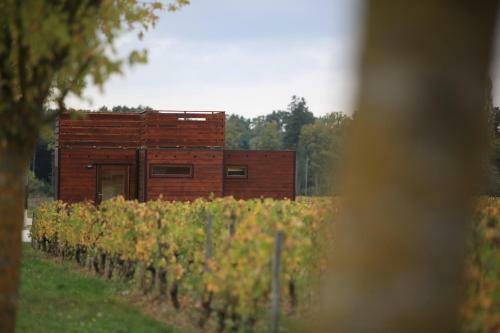 Les Sens De La Terre