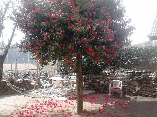 Bed & Breakfast Il Castello