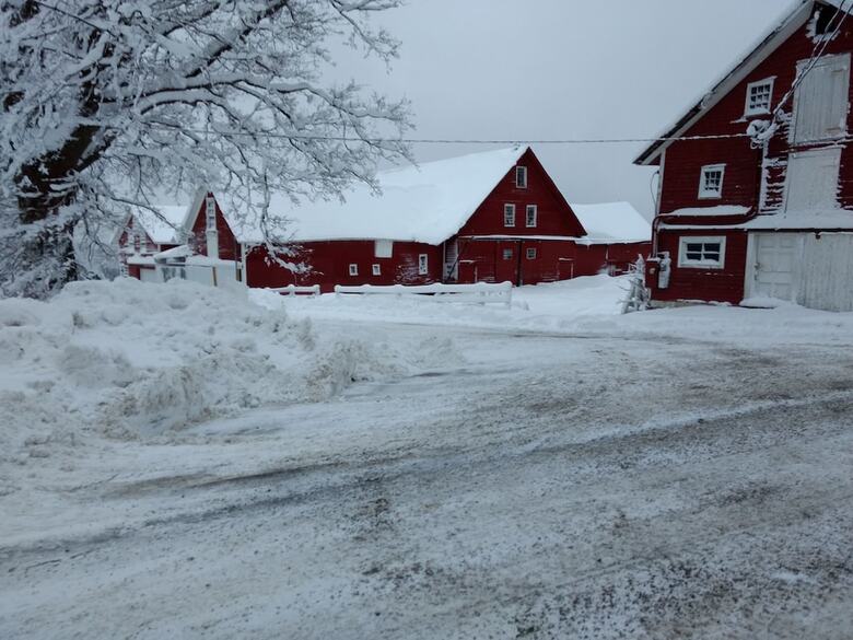 Bed & Breakfast The Buckmaster Inn