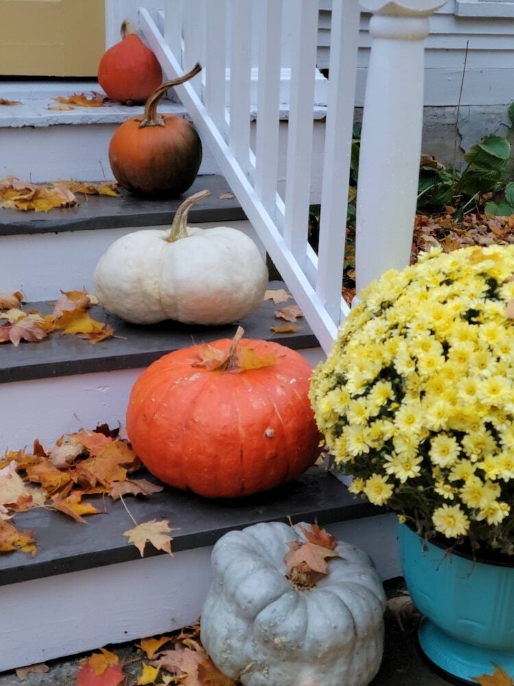 Bed & Breakfast The Buckmaster Inn