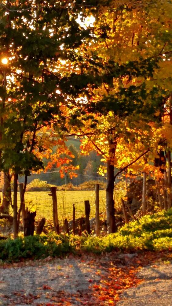 Bed & Breakfast The Buckmaster Inn