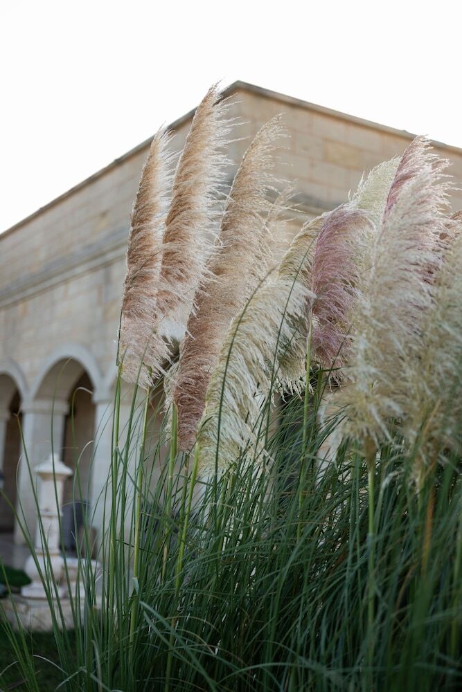 Tenuta Dorolivo Guest House E B&B