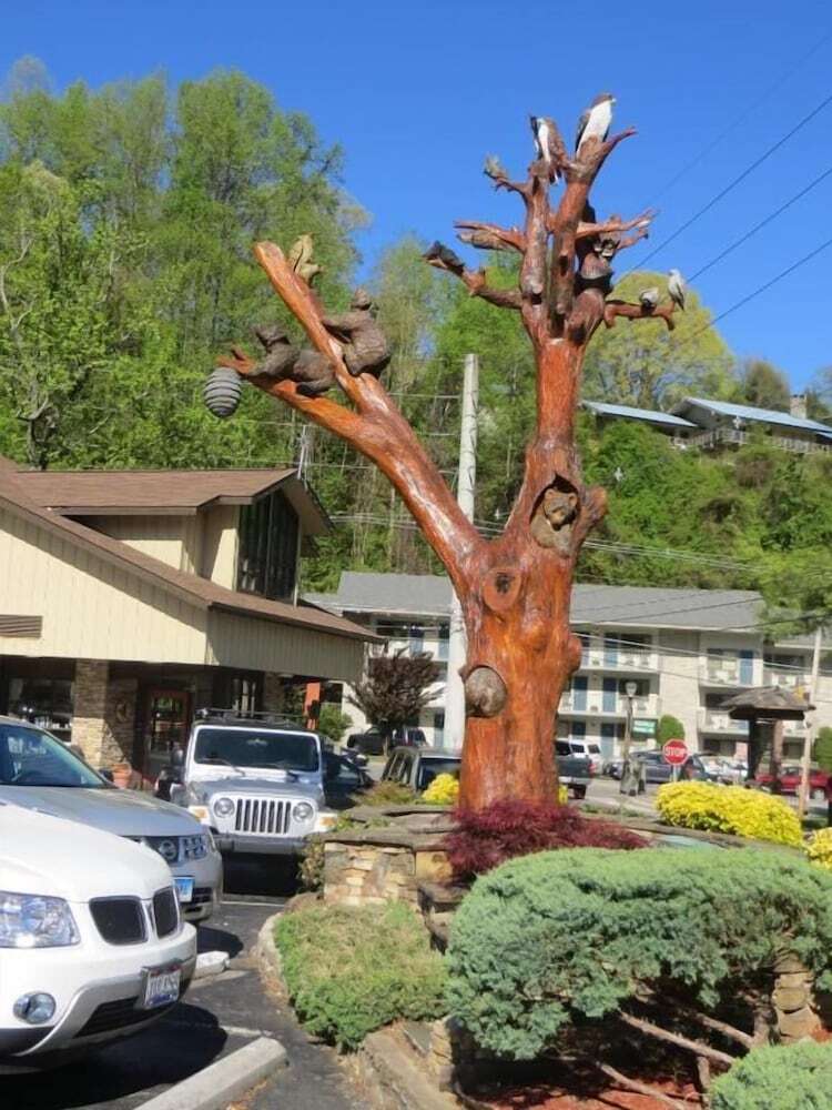 Hotel Mountain House Inn