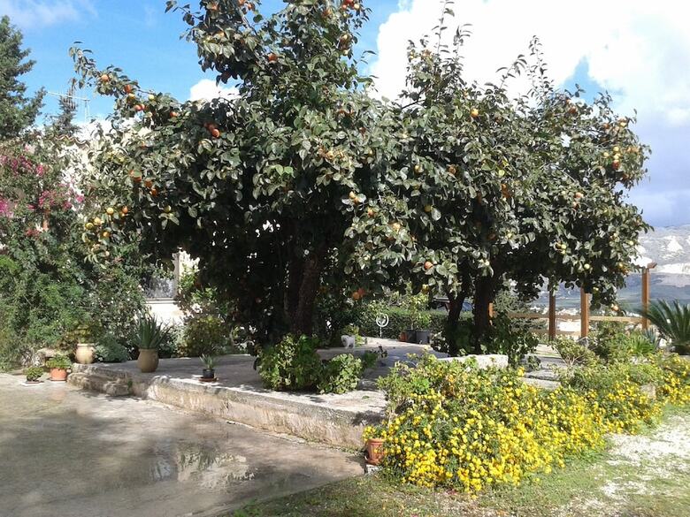 Bed & Breakfast Baglio Ferlito