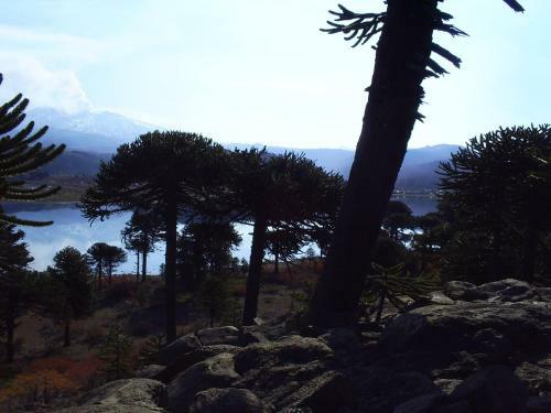 Hostal Hostel De Monta�a Los Duendes Del Volc�n