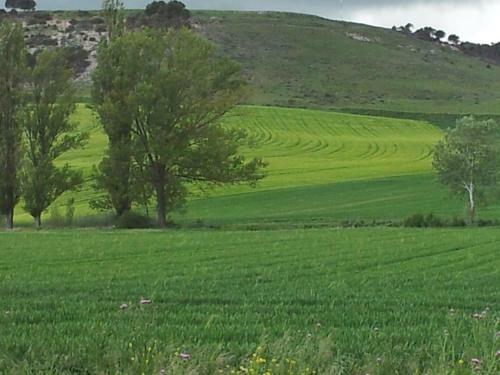 Agroturismo Centro San Pelayo