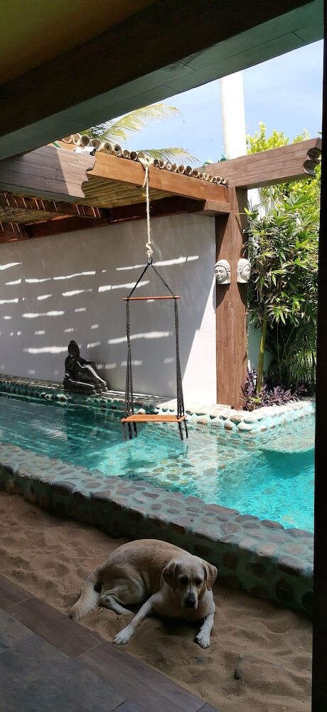 Hotel Posada Buda Tortuga