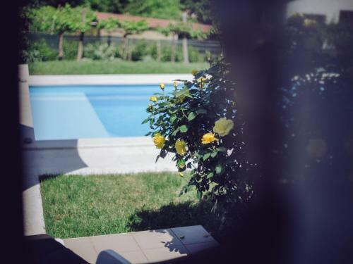 Villa Sveti Petar U �umi 5