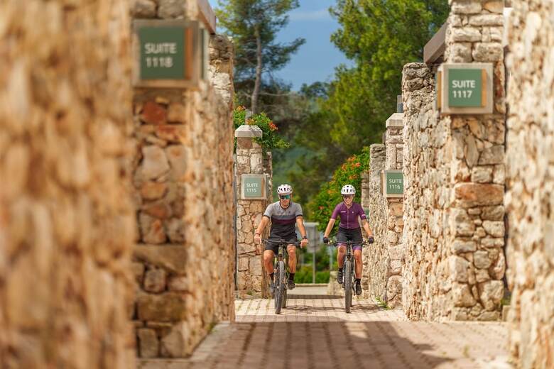 Hotel Valamar Amicor Resort