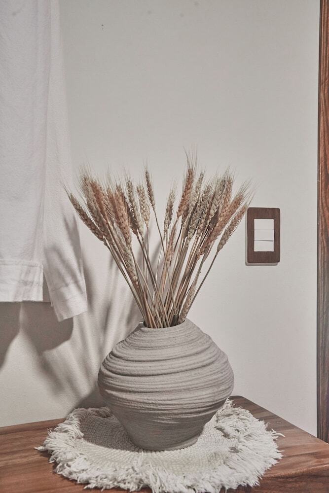 Hotel Boutique Terranova