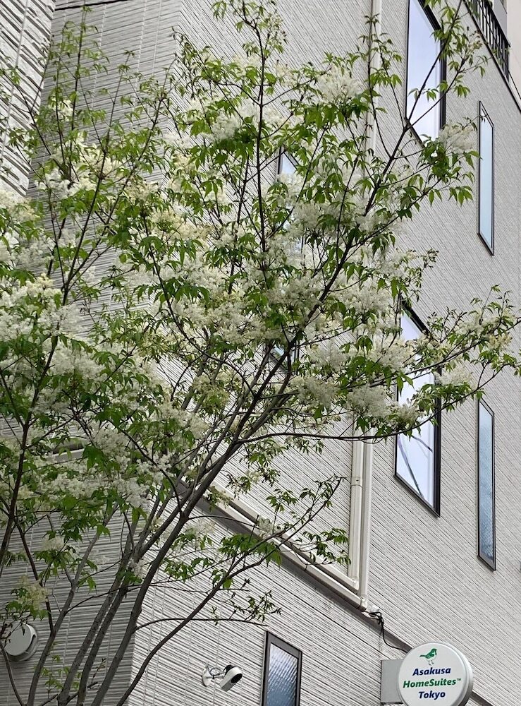Hotel Asakusa Homesuites Tokyo
